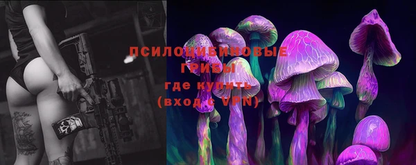 MDMA Premium VHQ Александровское