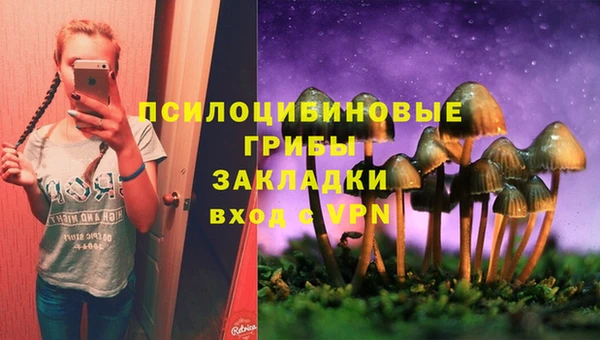 MDMA Premium VHQ Александровское