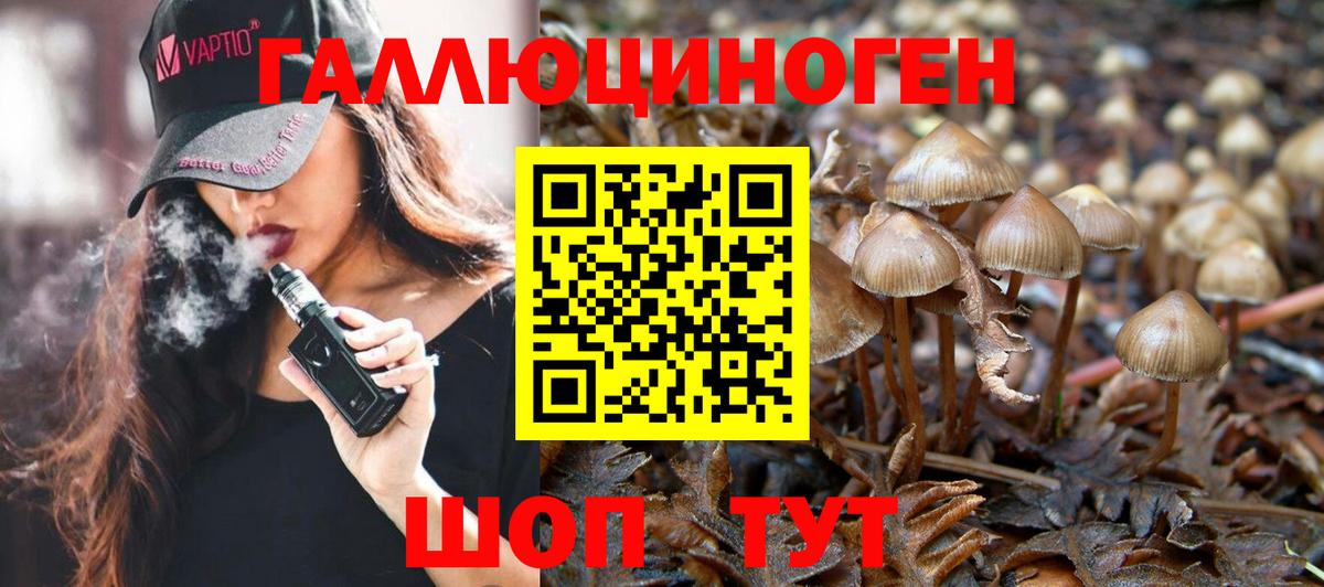 Галлюциногенные грибы MAGIC MUSHROOMS  купить  сайты  Заринск  Псилоцибиновые грибы GOLDEN TEACHER  Вход с VPN 
